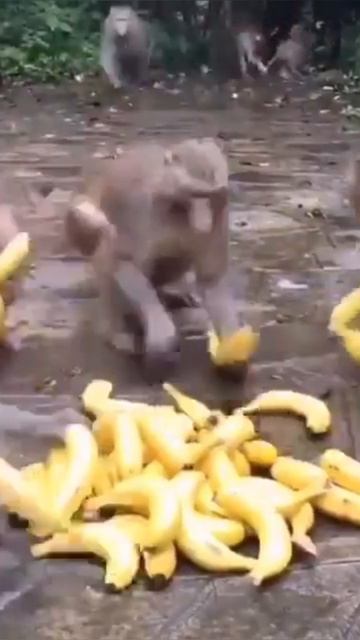 Наш бюджет смотреть онлайн