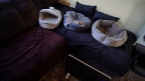 На рассвете получила пенсию и купила продукты