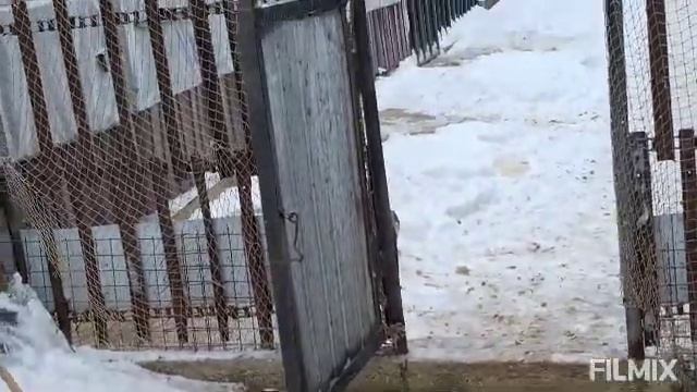Разминка как обычно смотреть онлайн