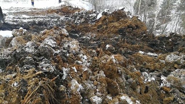 Избавляемся от мусорной свалки смотреть онлайн