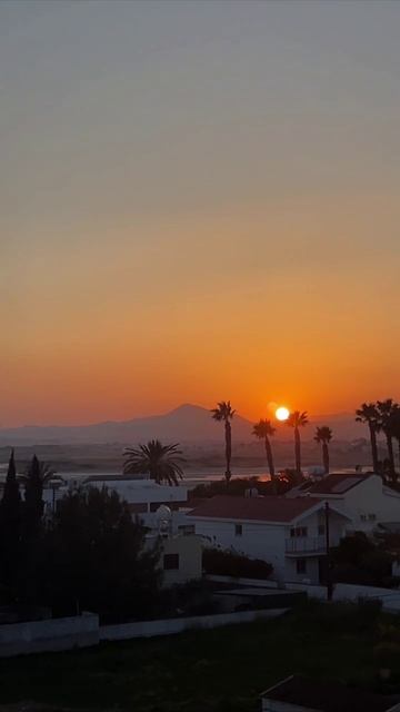 Кипр, Ларнака, пальмы, закат, вид из окна