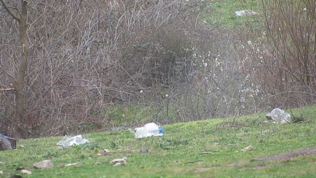 Monza T. 308. Off hand atislar смотреть онлайн