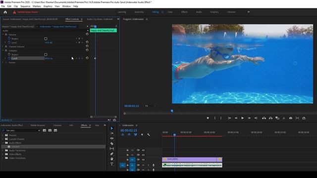 How To Make An Underwater Audio Effect | Adobe Premiere Pro Tutorial 2020