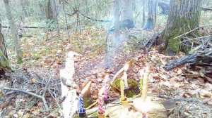 чистка и избавление от привязок некротического мира,сущей,бесов и т.д