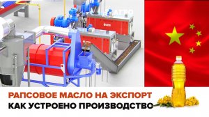 Как в Сибири производят рапсовое масло для Китая. Обзор Завода.