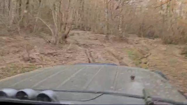 Лесные покатушки смотреть онлайн