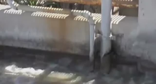 .... Как Очистные сооружения очищают Сточные воды.... смотреть онлайн