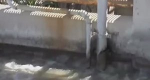 .... Как Очистные сооружения очищают Сточные воды....