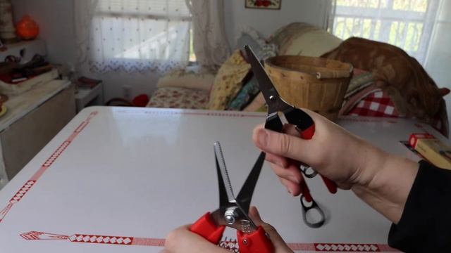 Felco - f310 vs 322 Snips смотреть онлайн