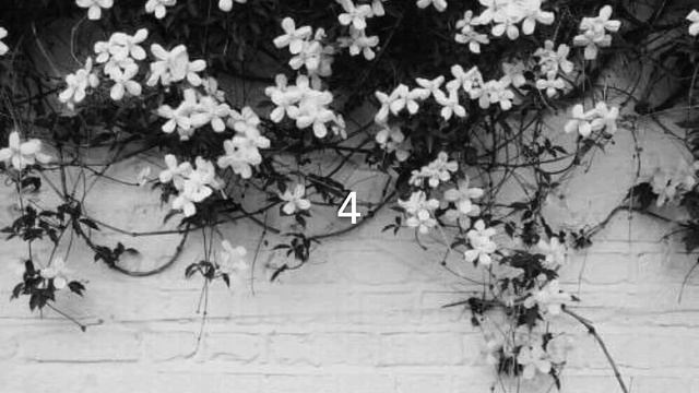 12/21 Pmv Map (ClOSED/ BACKUPS OPEN) смотреть онлайн