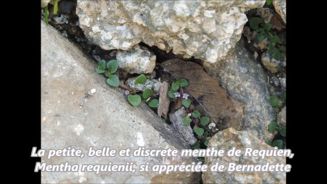 août 7, 2016 смотреть онлайн