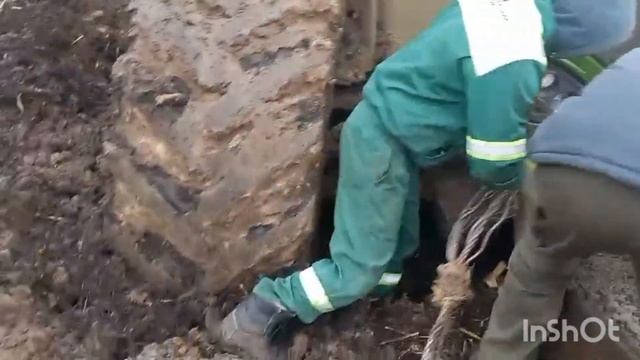 Fendt Vario 1050 john deere зіл131 сталева воля евакуація смотреть онлайн