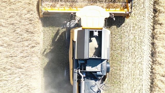 Double Up på mejetærskere - New Holland CX8.70 - købt hos Anker Bjerre A/S смотреть онлайн