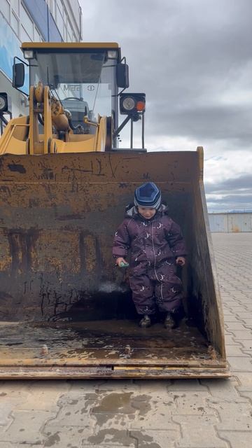 Володя в луже ковша трактора. 29.05.2024 смотреть онлайн