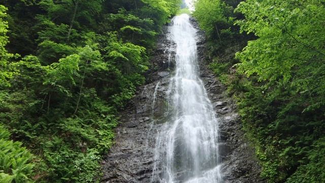 Водоспад 24 - Завантажити фони для монтажу відео. Фон без авторських прав смотреть онлайн