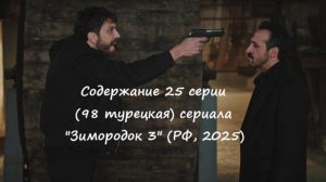 Содержание 25 серии (98 турецкая) третьего сезона сериала Зимородок (РФ, 2024 / 2025)