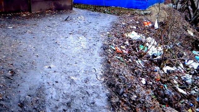 Служба занятости Ельца загадили всё вокруг. смотреть онлайн