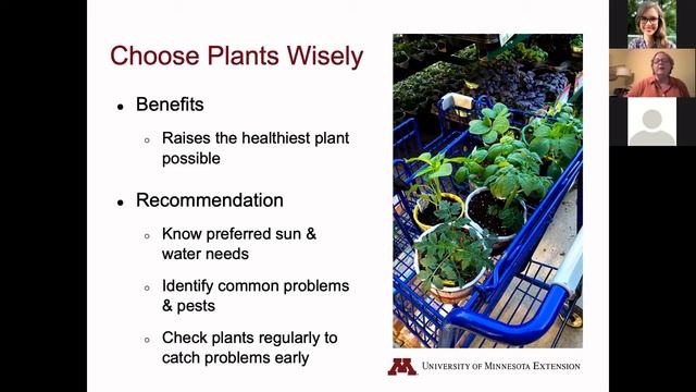 Be a Pest Detective with Ramsey County Master Gardens смотреть онлайн