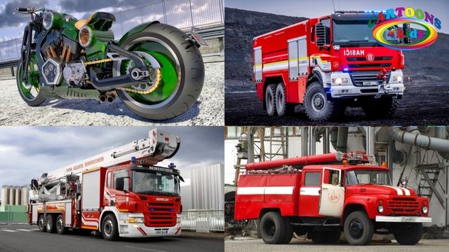 Изучаем транспорт и спецтехнику для детей. Викторина про машинки смотреть онлайн