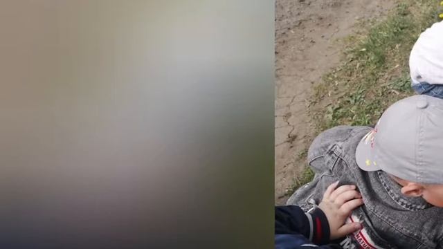 Наблюдение за цветами смотреть онлайн