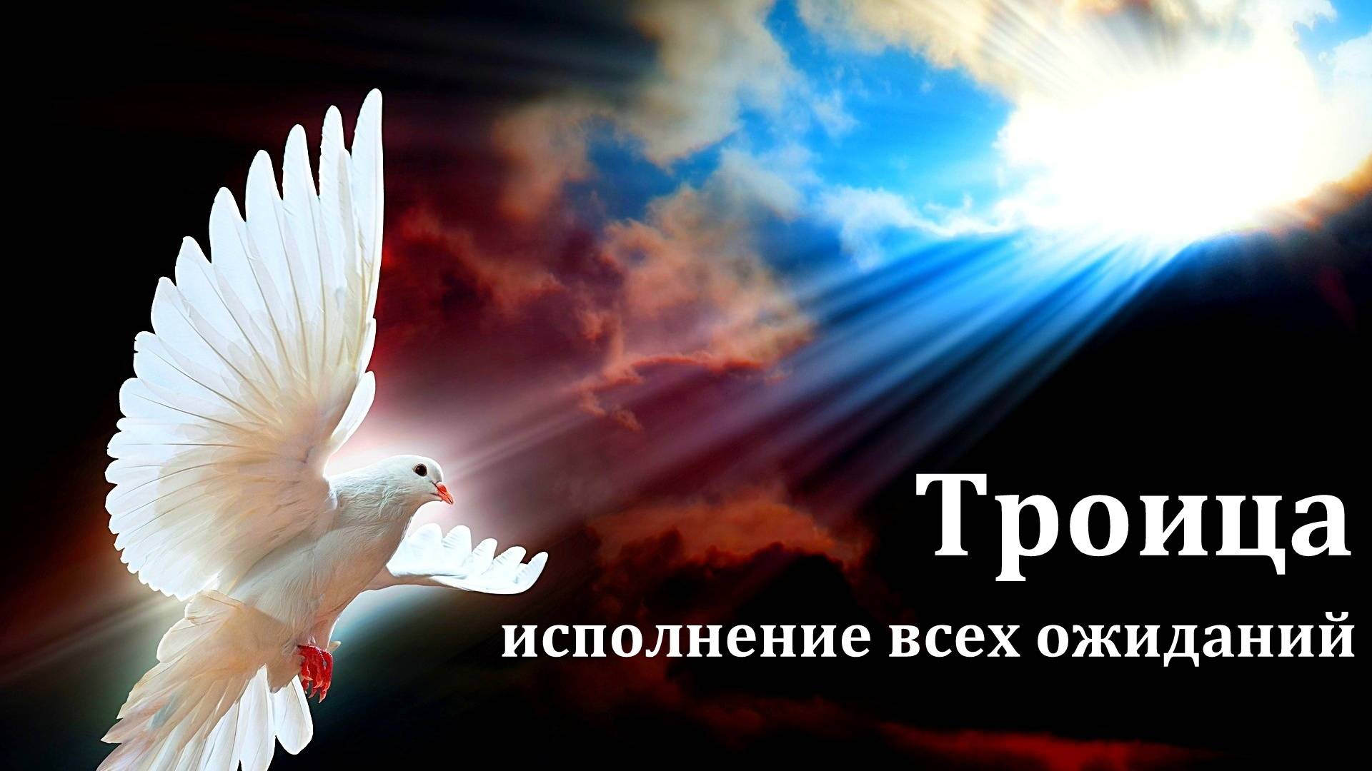 Проповедь на праздник Троица. Д. В. Самарин. МСЦ ЕХБ смотреть онлайн