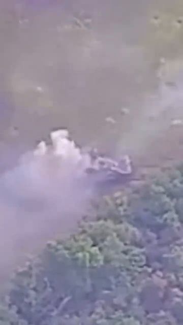 How Russians Burned Leopards. Леопарды тоже горят