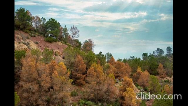 Разум держать в Слове Божьем! смотреть онлайн