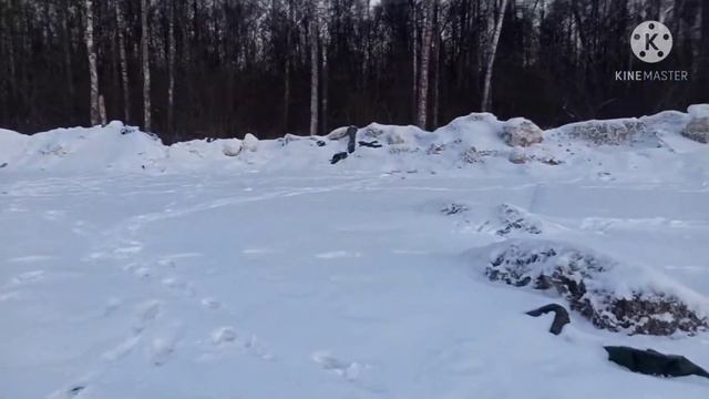 ЦКАД Зона Экологического Бедствия!! смотреть онлайн