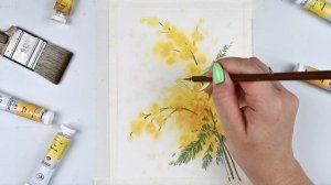 Рисуем веточку мимозы. Уроки рисования. Цветы акварелью