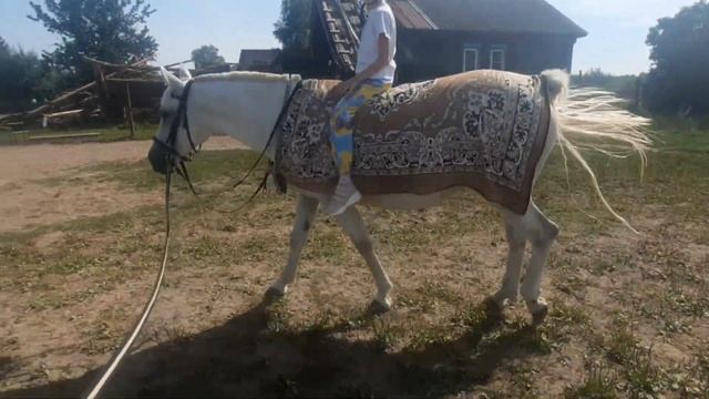 Мышка-Бэтмен смотреть онлайн