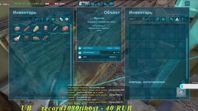 🐱🏍Стрим выживание в суровом мире ARK Survival Evolved выживаем с лимончиком🤝👍☝#arksurvivalevolved