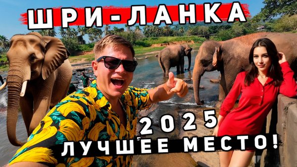 Шри-Ланка 2025 КРУЧЕ Таиланда? ИДЕАЛЬНЫЙ ОТДЫХ: Унаватуна и Пиннавела - СЛОНЫ, пляжи, ЦЕНЫ, отель!