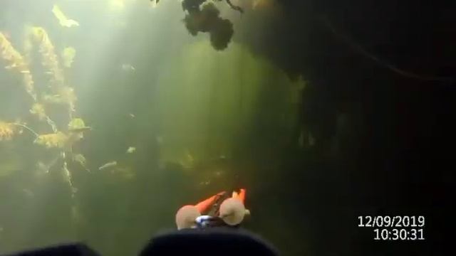 Глубины нашего Сейма смотреть онлайн