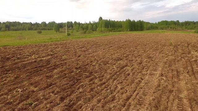 Вспашка целинных и залежных земель мтз 52 , уборка камней и посадка фацелии . смотреть онлайн
