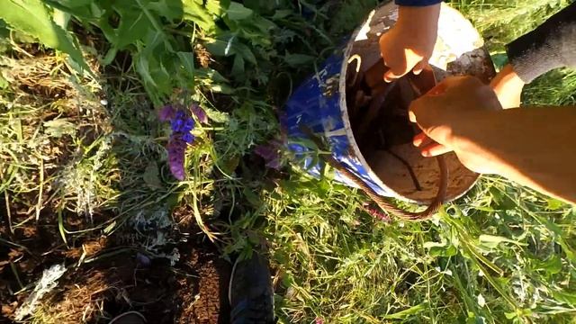 Кузница 3 день лопатой по ноге смотреть онлайн
