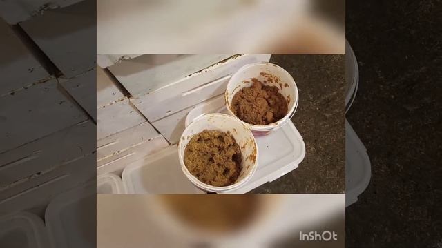 ППУ ульи "Медведь". 7 смотреть онлайн