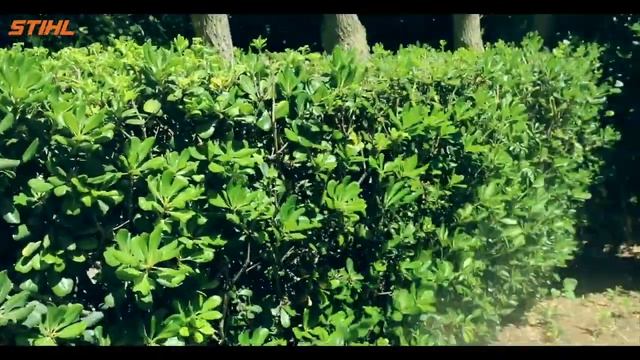 Atomiseur performant SR 450 STIHL | STIHL TUNISIE смотреть онлайн