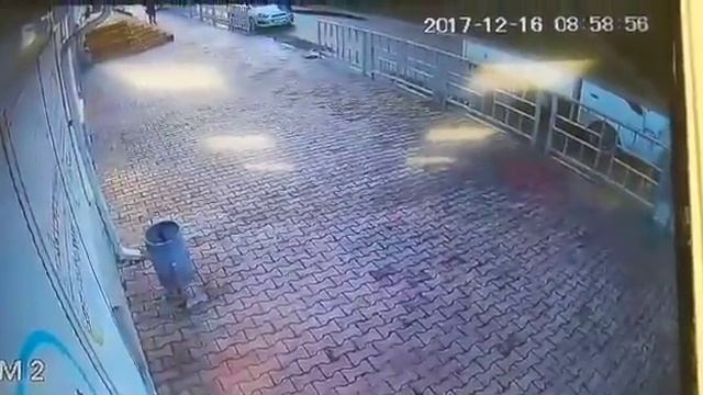 Видео ограбления грузовика в Новороссийске смотреть онлайн
