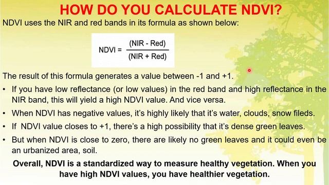 Normalized Difference Vegetation Index (NDVI)_PPT смотреть онлайн