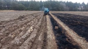 МТЗ 82 пахота целины