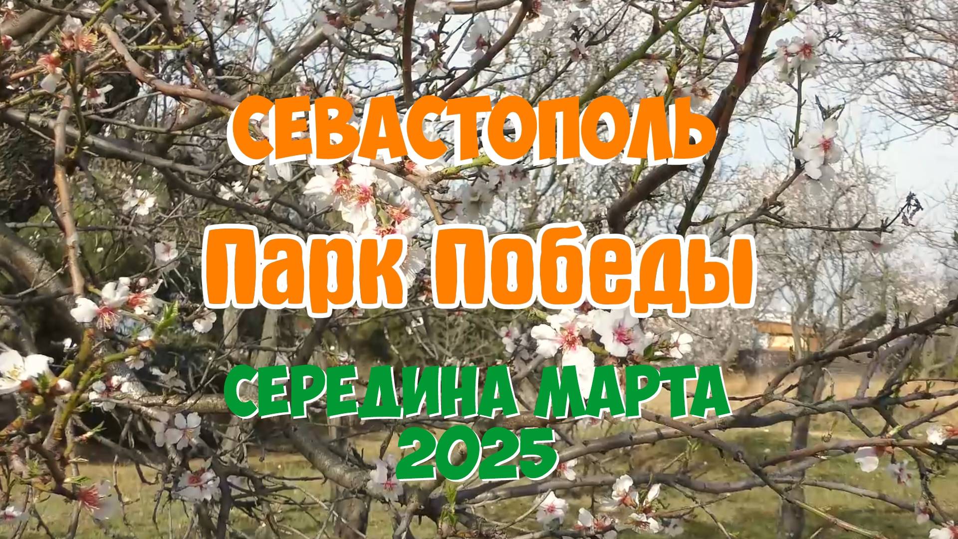 Парк Победы. Середина марта 2025. смотреть онлайн