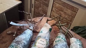 💁🌹 Распаковка посылки роз из Опт-Хоз,как сохранить их до посадки🤔