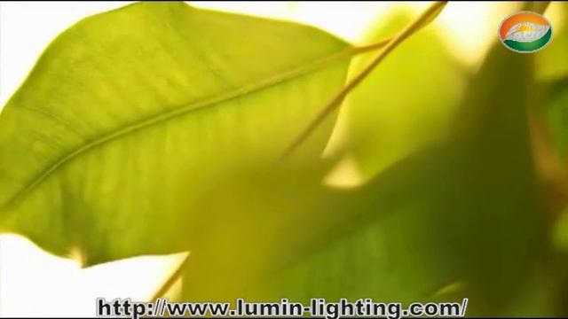 LED Panel Light | LED Flat Light Manufacturer смотреть онлайн