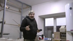 Ловлю снегирей дома!