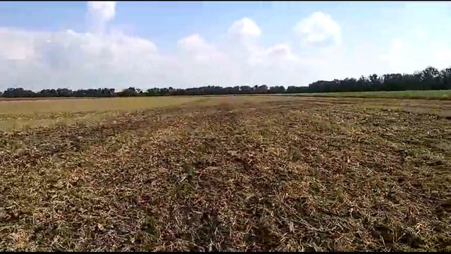 мини трактор sf 244 дисковка стерни ячменя смотреть онлайн