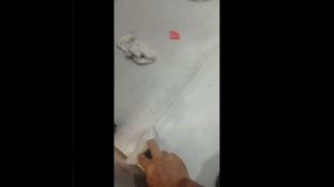 затирка швов полимерной затиркой. полимерная затирка швов