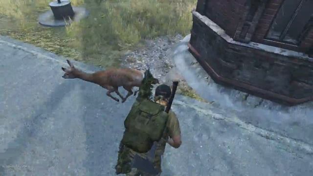 DAYZ Бенни Хил в Черно смотреть онлайн