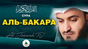 КОРАН Сура АЛЬ-БАКАРА (СУРА КОРОВА) КРАСИВОЕ ЧТЕНИЕ КОРАНА ОТ СГЛАЗА, ПОРЧИ | ЧТЕЦ МИШАРИ РАШИД