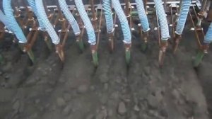 посев суданки самодельной сеялкой для мототрактора