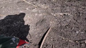 КОП МЕТАЛЛА 15.03.2025